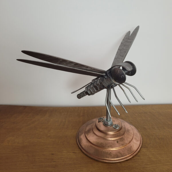 Éclat d’Ailes